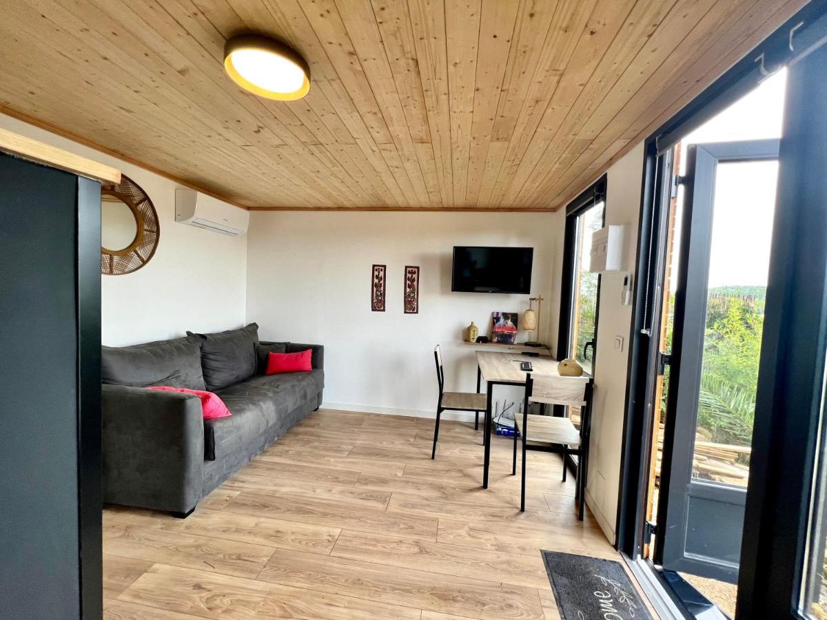 Apartment Climatise Avec Jardin Et Vue Sur Le Pic Saint Loup